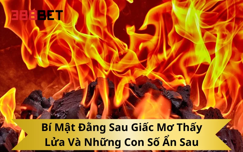 Bí Mật Đằng Sau Giấc Mơ Thấy Lửa Và Những Con Số Ẩn Sau
