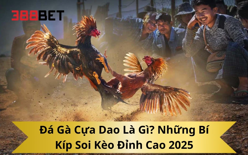 Đá Gà Cựa Dao Là Gì? Những Bí Kíp Soi Kèo Đỉnh Cao 2025